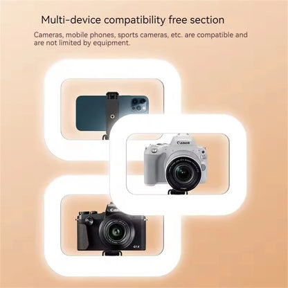 Professional Handheld Ring Light - 240 LED Rechargeable with Phone Holder